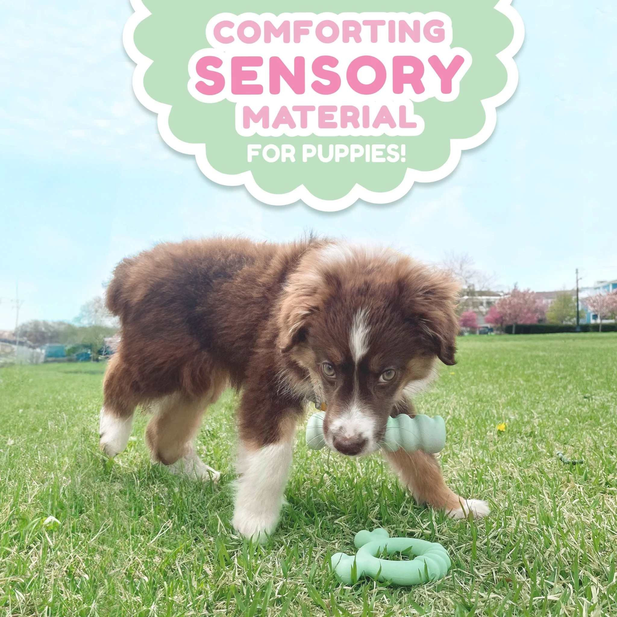 Sensory Material Puppy Teething Toy, Peanut Butter, Small/Regular, Up to 25 Ibs. - Image 7