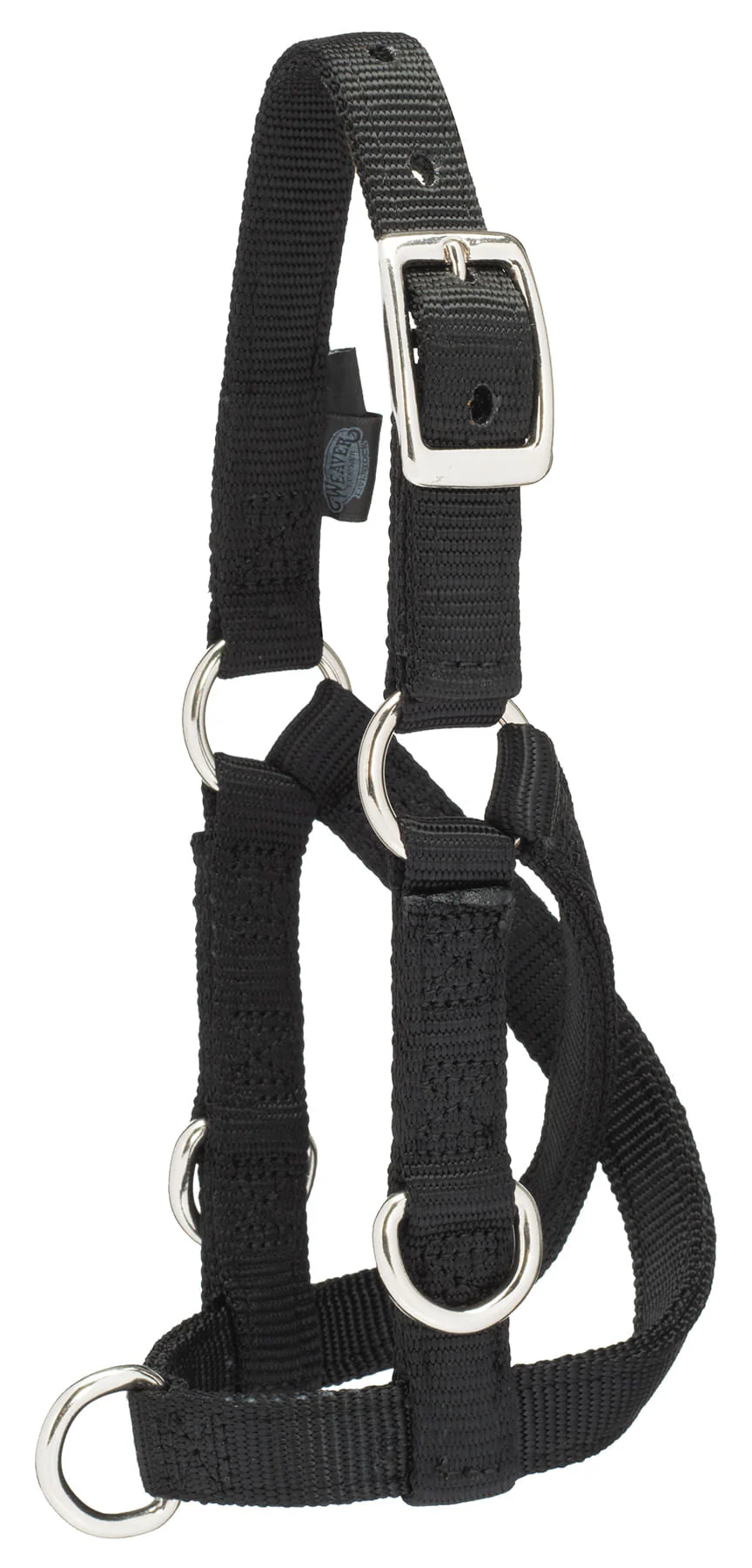 Sheep/Goat Treadmill Halter - Image 2