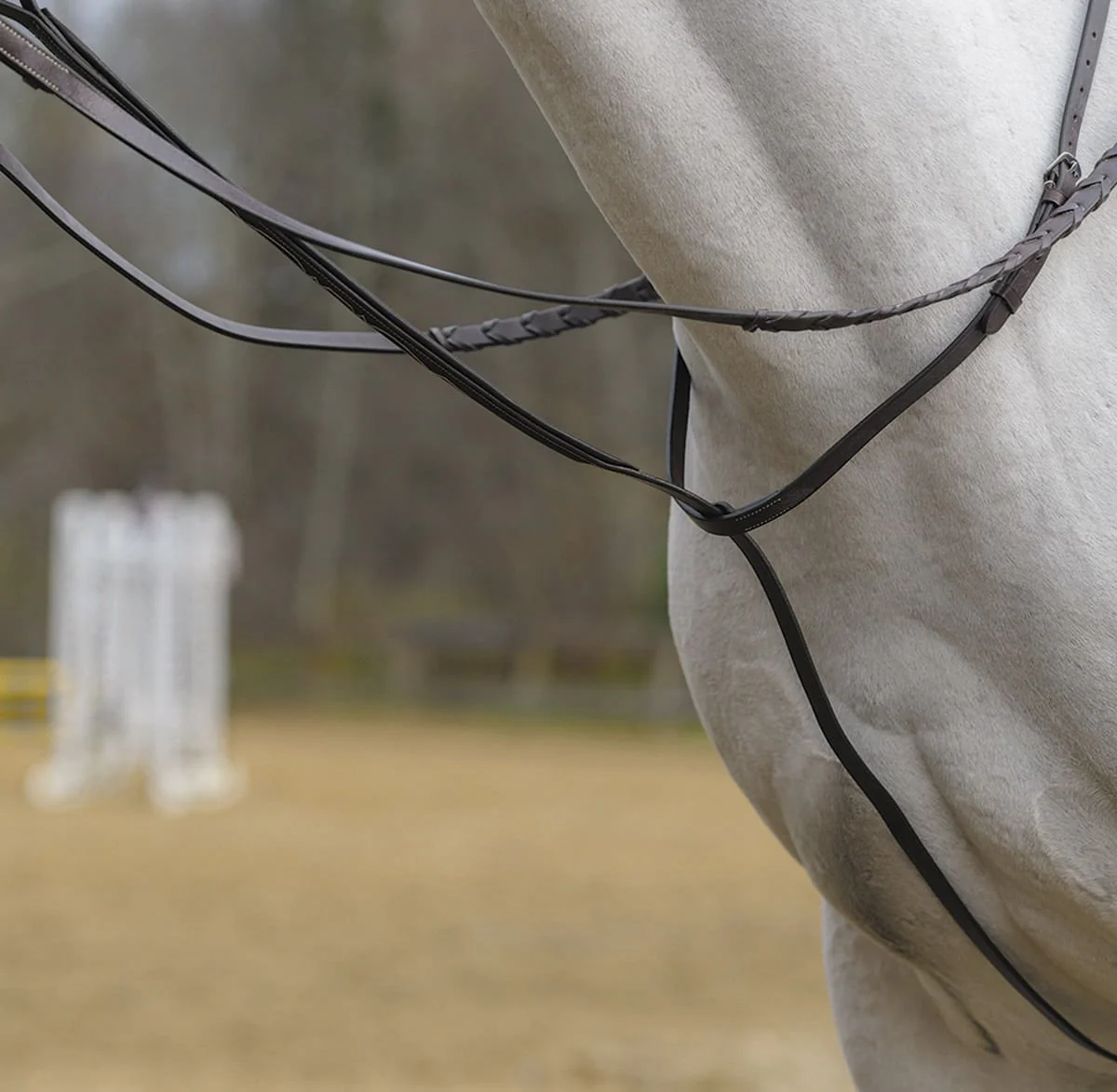 Shires Standing Martingale, Havana