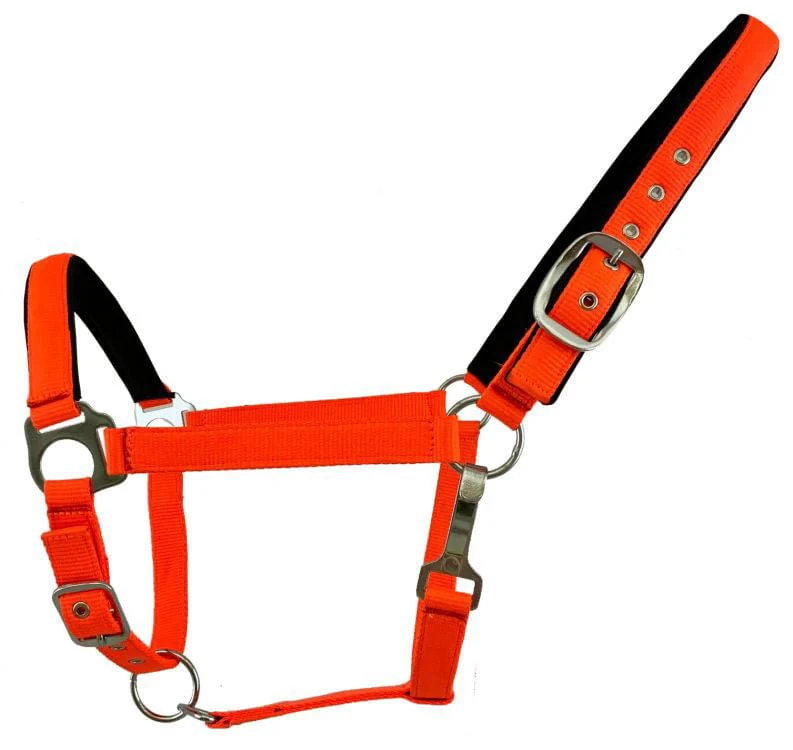 Showman Fluorescent Halters, Full - Image 3
