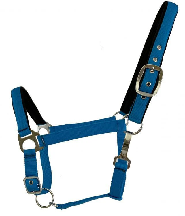 Showman Fluorescent Halters, Full - Image 5