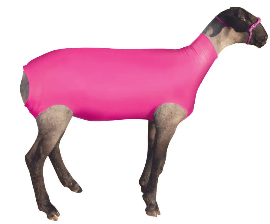 ShowPro Spandex Lamb Tube - Image 4
