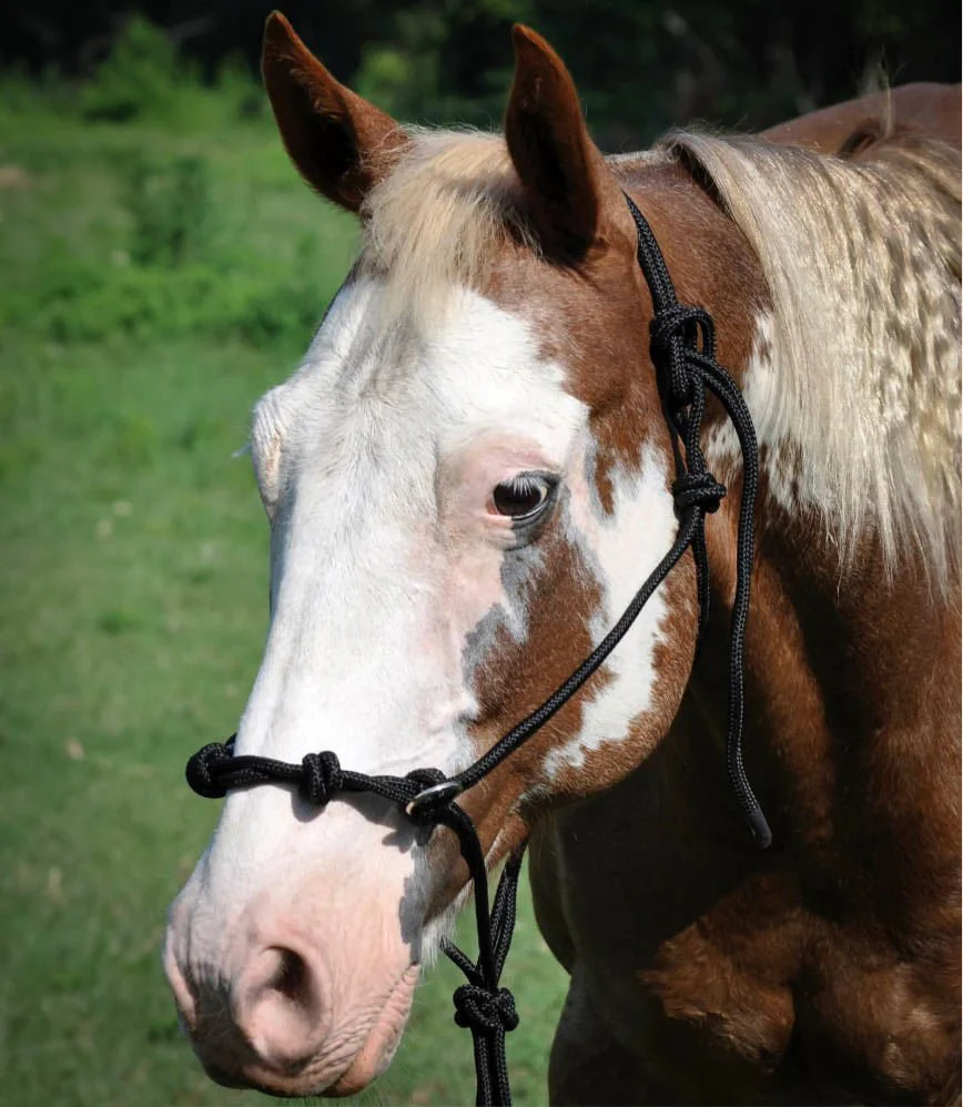 Mustang 4-knot Side Pull Rope Halter - Image 6