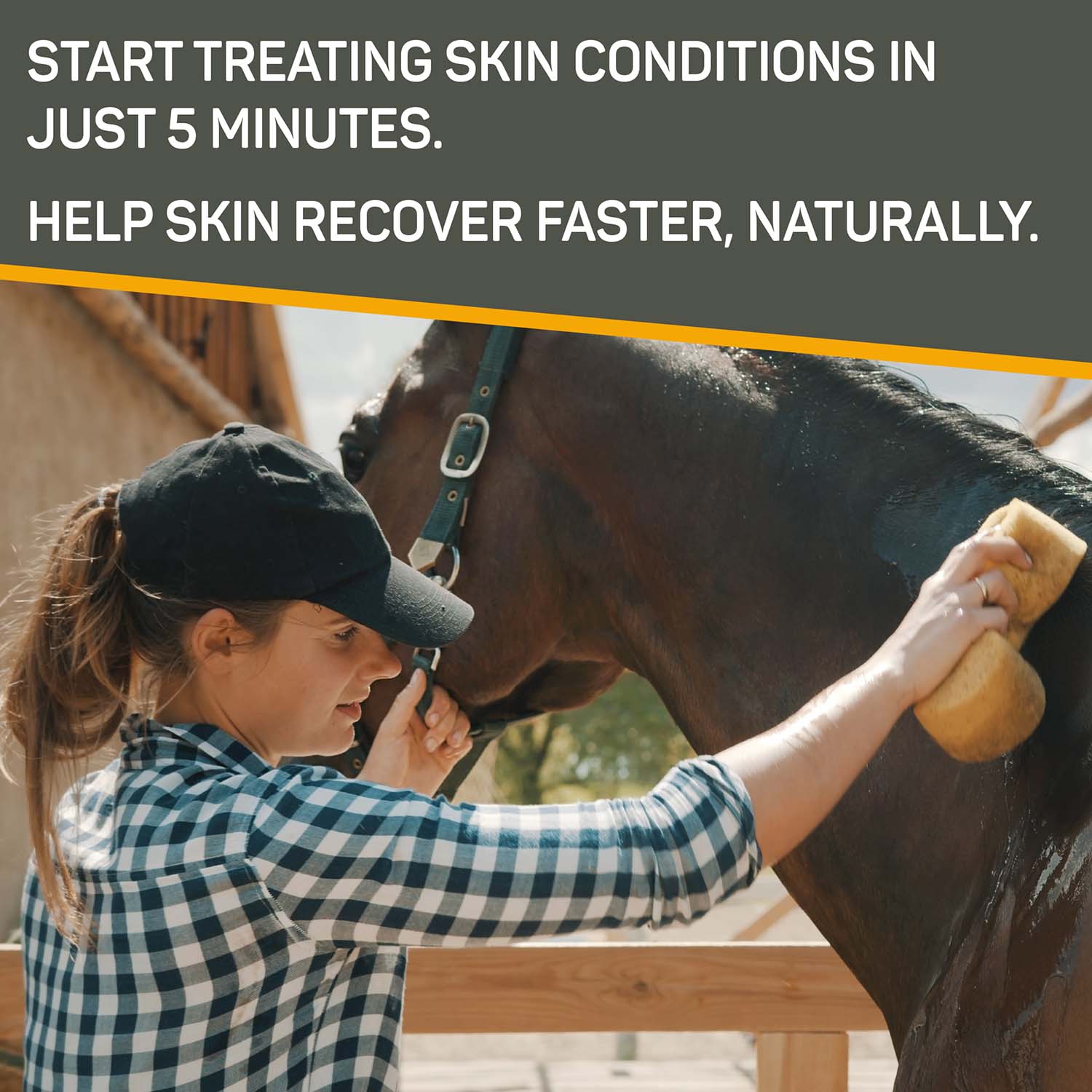 Silver Honey Rapid Skin Relief Medicated Shampoo, 16 oz - Image 4