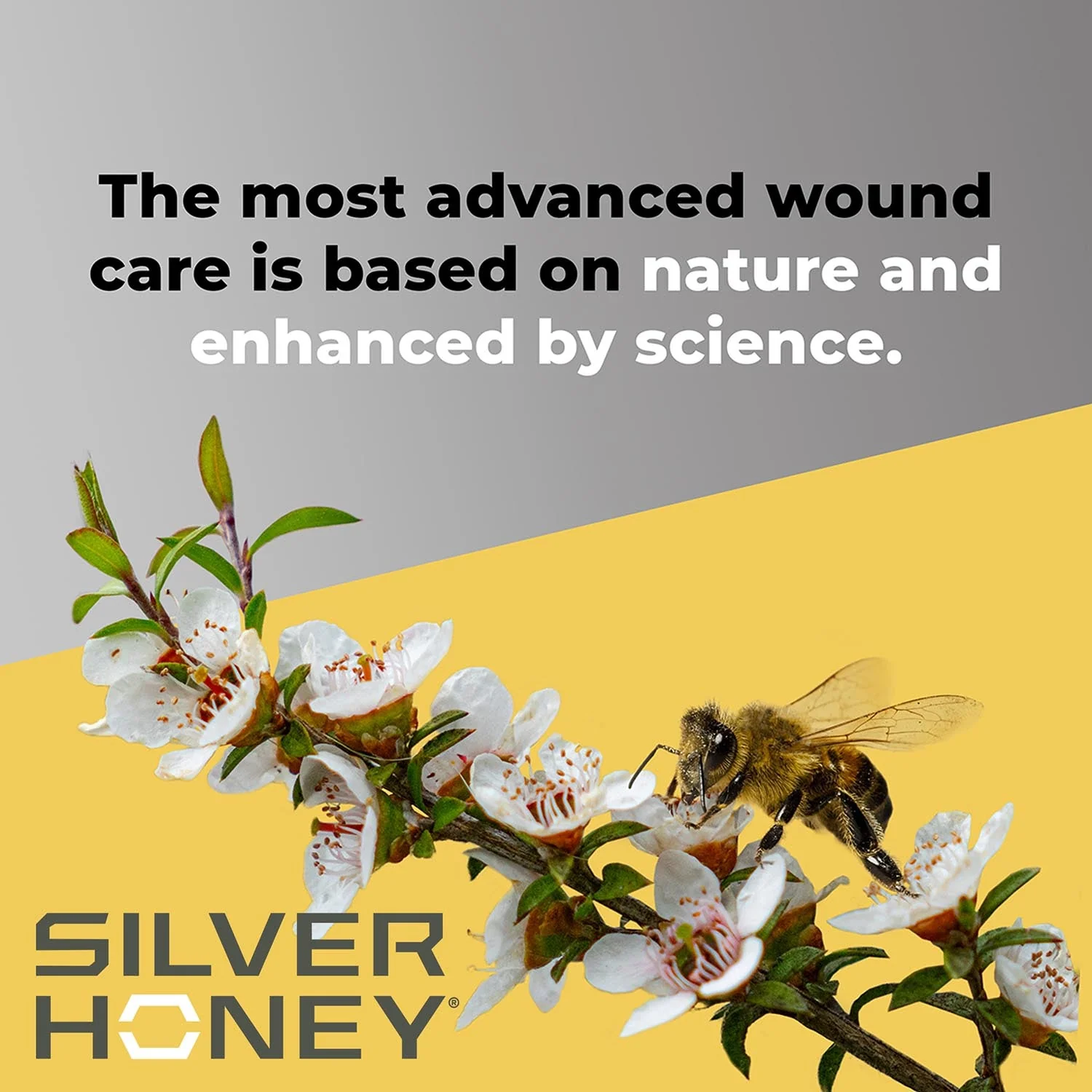 Silver Honey Rapid Skin Relief Medicated Shampoo, 16 oz - Image 5
