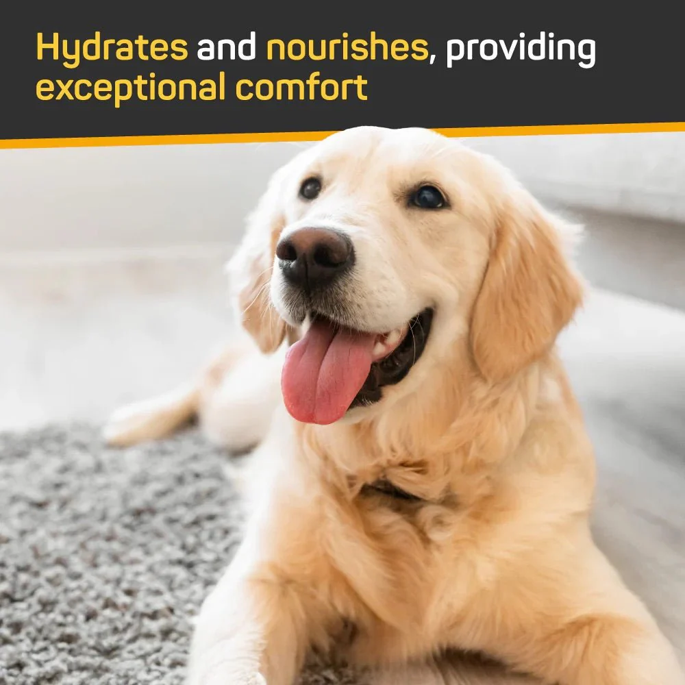 Silver Honey Skin & Coat Care Nourish & Soothe Leave-In Conditioner for Dogs & Cats, 16 oz - Image 3