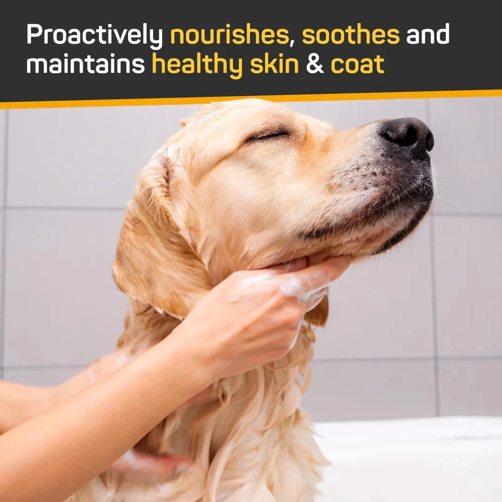 Silver Honey Skin & Coat Care Nourish & Soothe Shampoo with Odor Neutralizer for Dogs & Cats, 16 fl oz (473 ml) Pump Bottle - Image 3