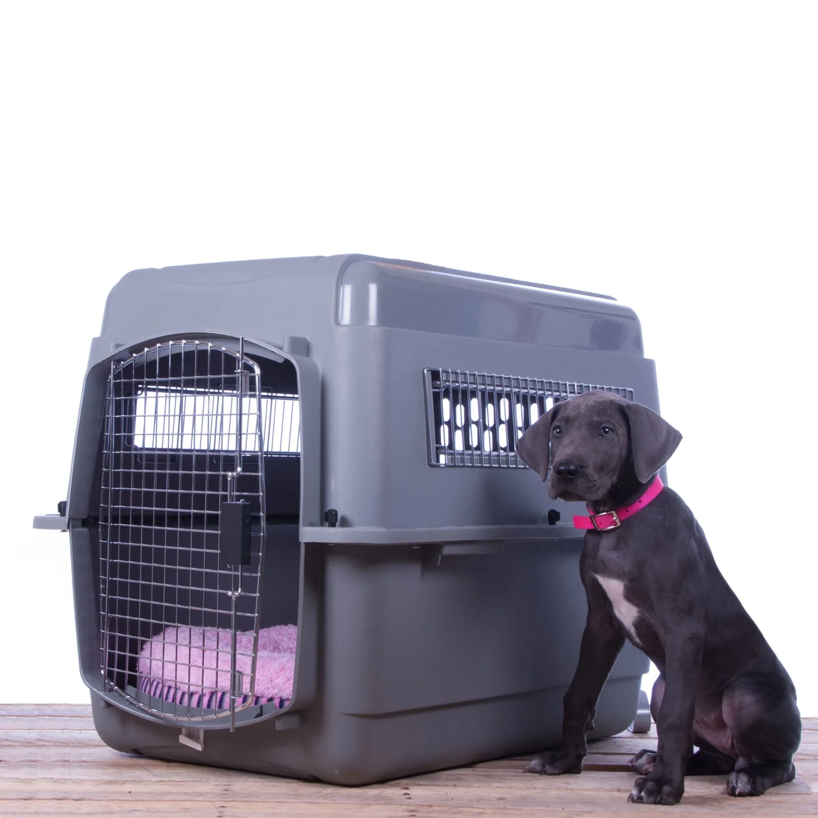 Petmate Sky Kennel Travel Pet Kennel with Food & Water Bowls Included