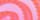 Roma Glitter Curry Comb - Image 4