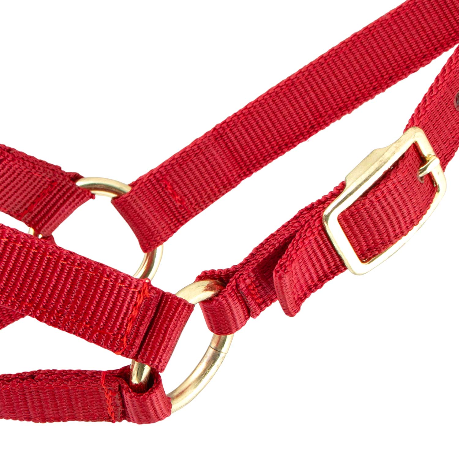 Jeffers Goat Halter - Image 5