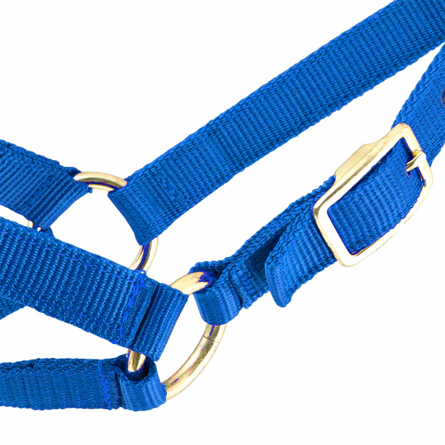Jeffers Goat Halter - Image 7