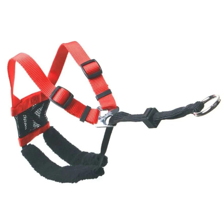 Sporn Non-Pulling Mesh Harness, Small - Image 7