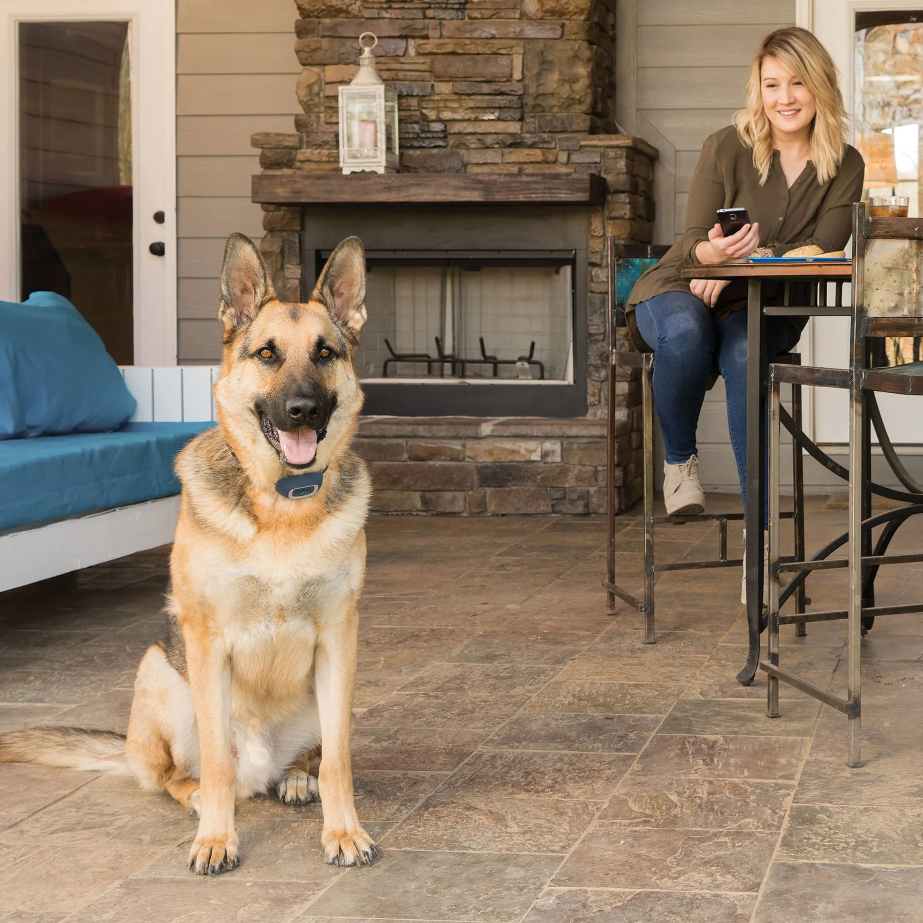 Petsafe Smart Dog Trainer - Image 11