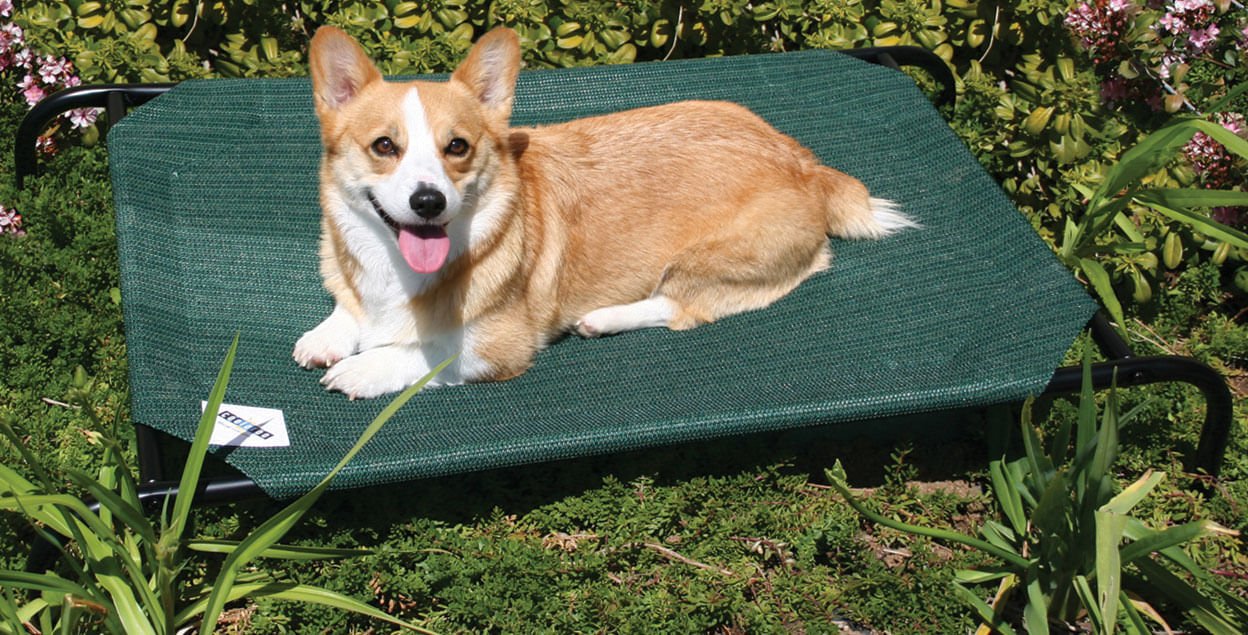 Coolaroo Pet Bed - Image 3