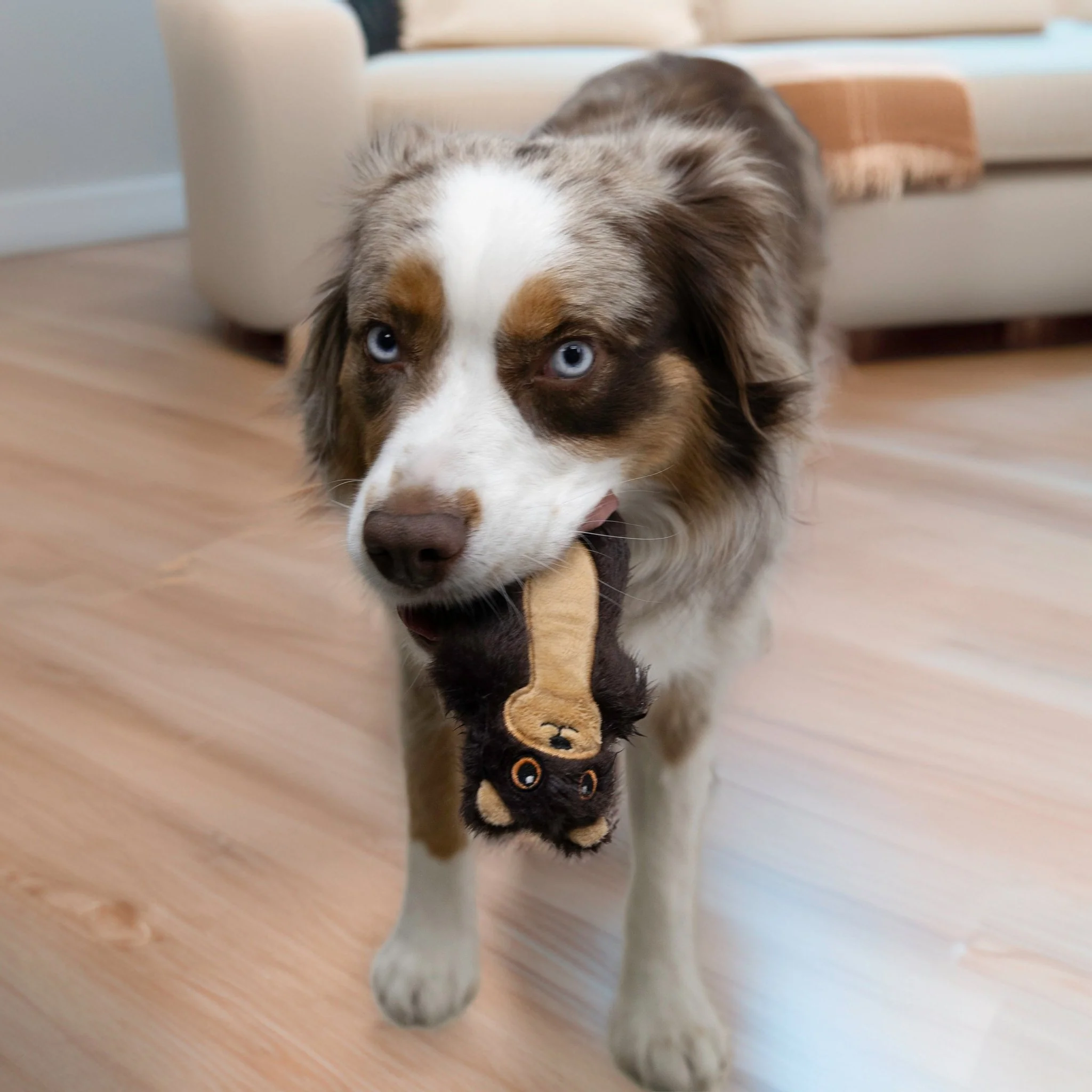 KONG Snuzzles Mini Squeaky Plush Dog Toy - Image 8