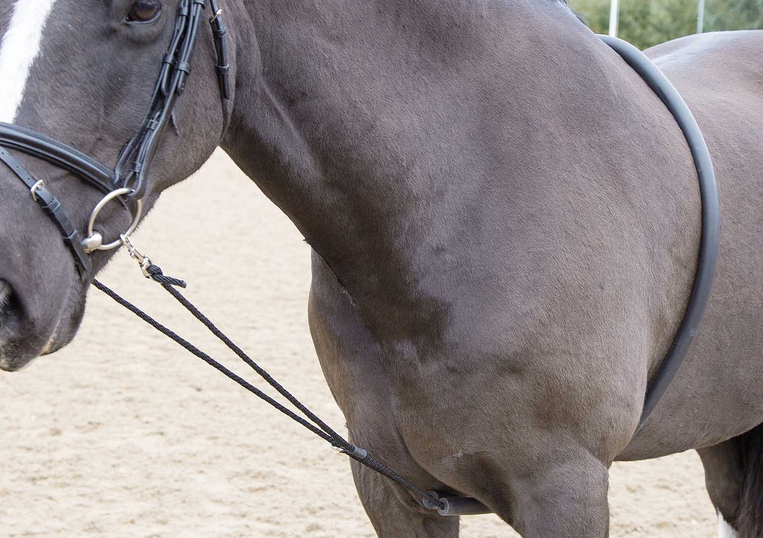 Shires Soft Lunge Aid - Image 3