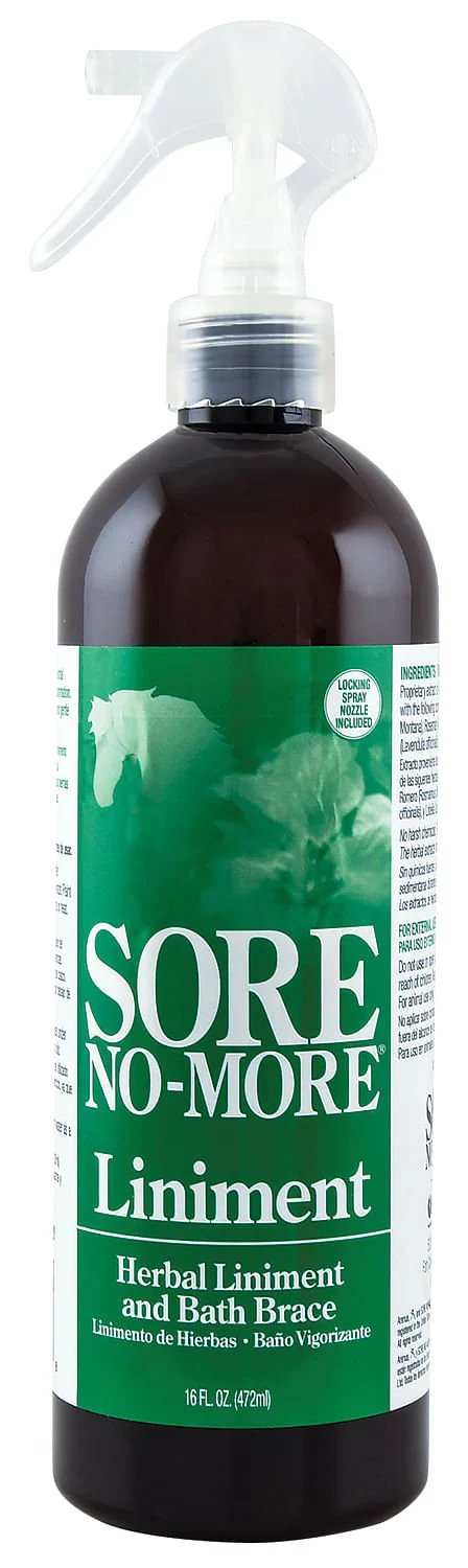 Sore No More Liniment Spray, 16 oz