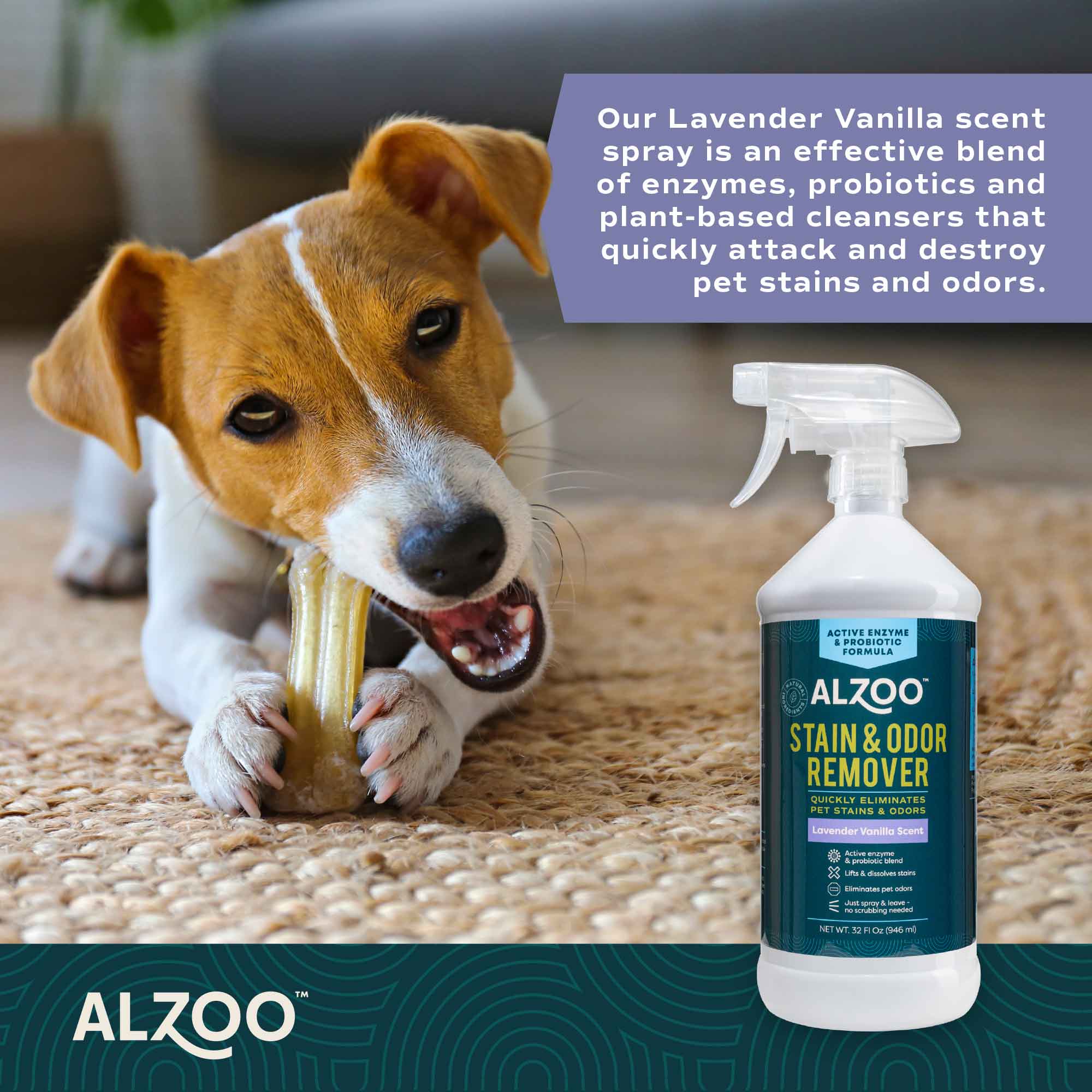 Plant-Based Stain & Odor Remover with Active Enzymes & Probiotic Scented Spray - Image 11