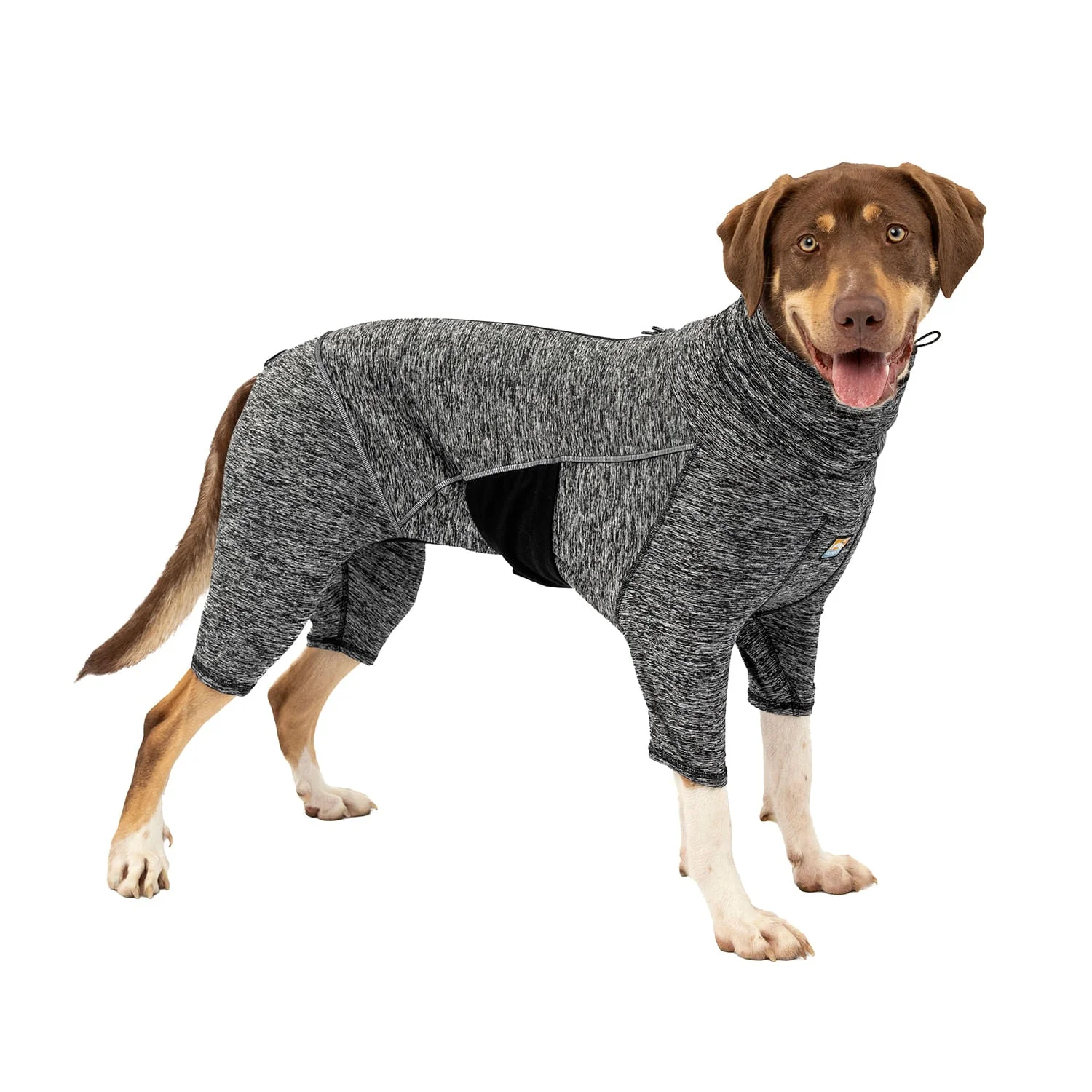 Kurgo Stowe Base Layer - Image 11