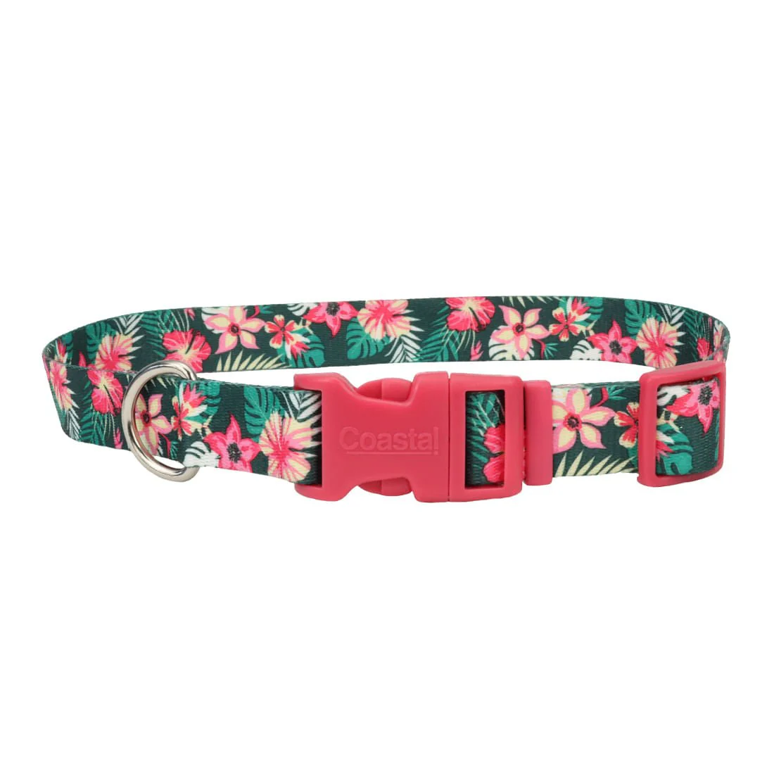 Styles Adjustable Dog Collar - Image 3