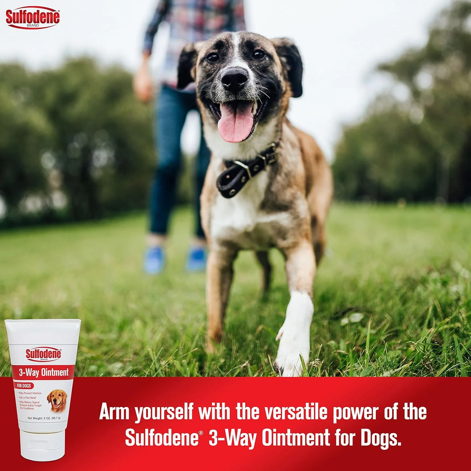 Sulfodene 3-Way Ointment for Dogs, 2 oz - Image 2