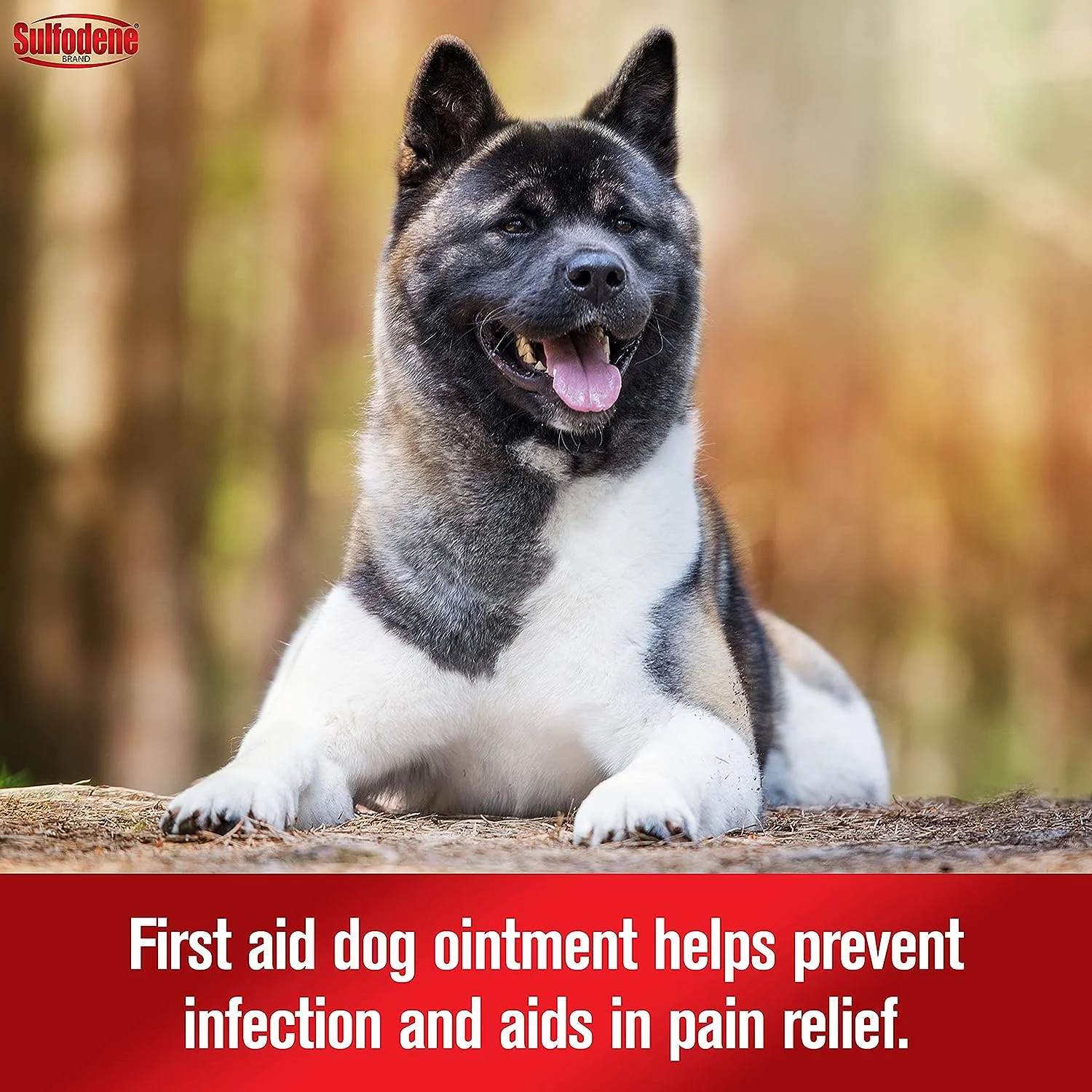Sulfodene 3-Way Ointment for Dogs, 2 oz - Image 3