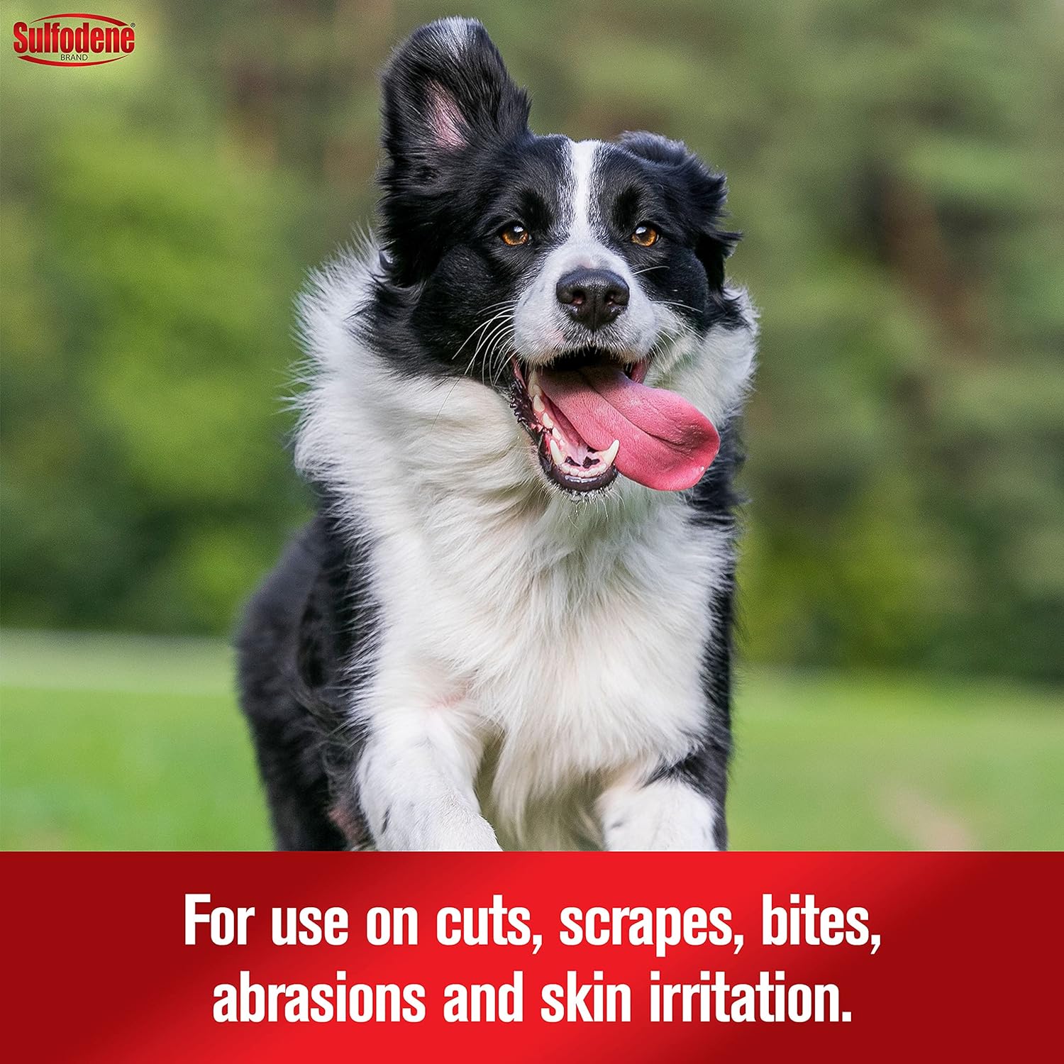 Sulfodene 3-Way Ointment for Dogs, 2 oz - Image 7
