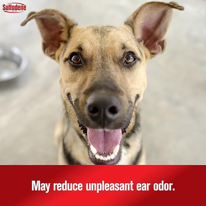 Sulfodene Ear Cleaner Antiseptic for Dogs and Cats - Image 6