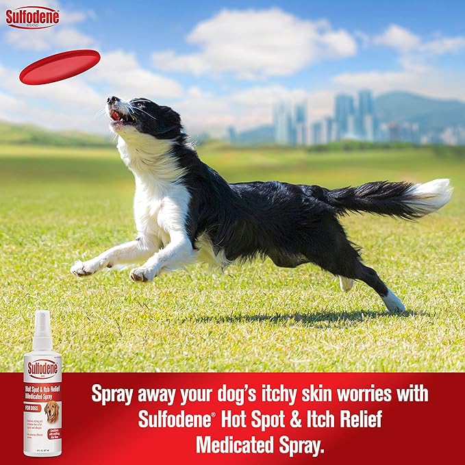 Sulfodene Medicated Hot Spot and Itch Relief, 8 oz - Image 3