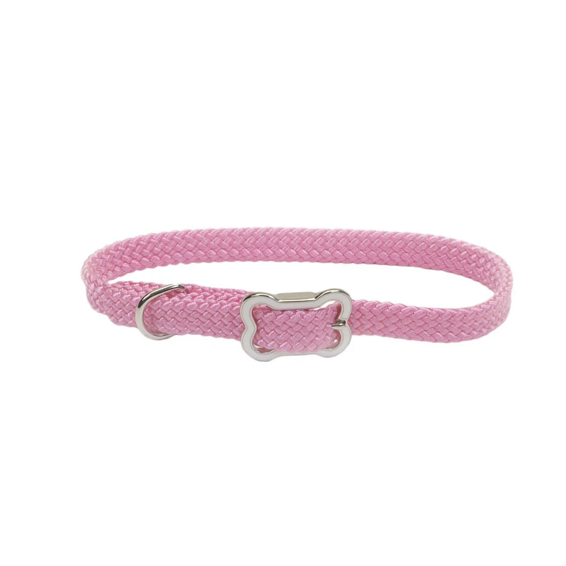 Sunburst Dog Collar with Bone Buckle - Image 12