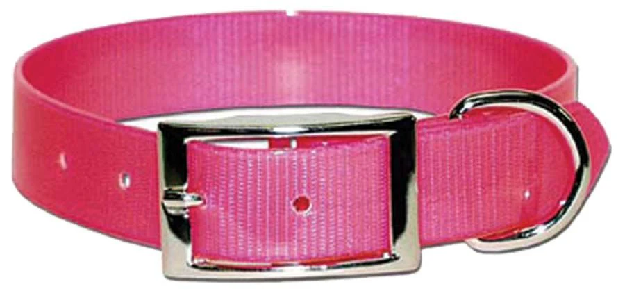 Sunglo Dog Collars - Image 12