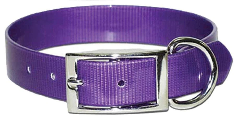 Sunglo Dog Collars - Image 19