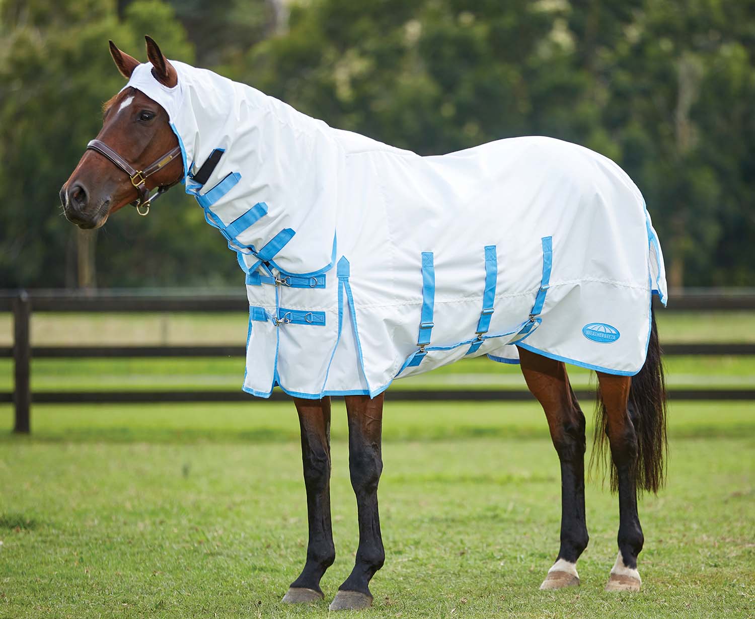 Sweet Itch Shield Combo Neck Horse Fly Sheet, White/Blue - Image 29