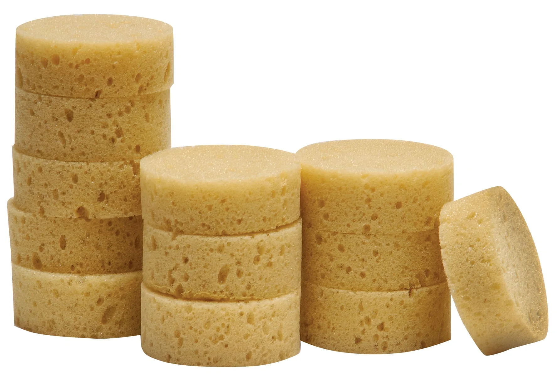 Equine Grooming & Tack Sponges – Soft, Absorbent Sponges for Horses and Leather Care