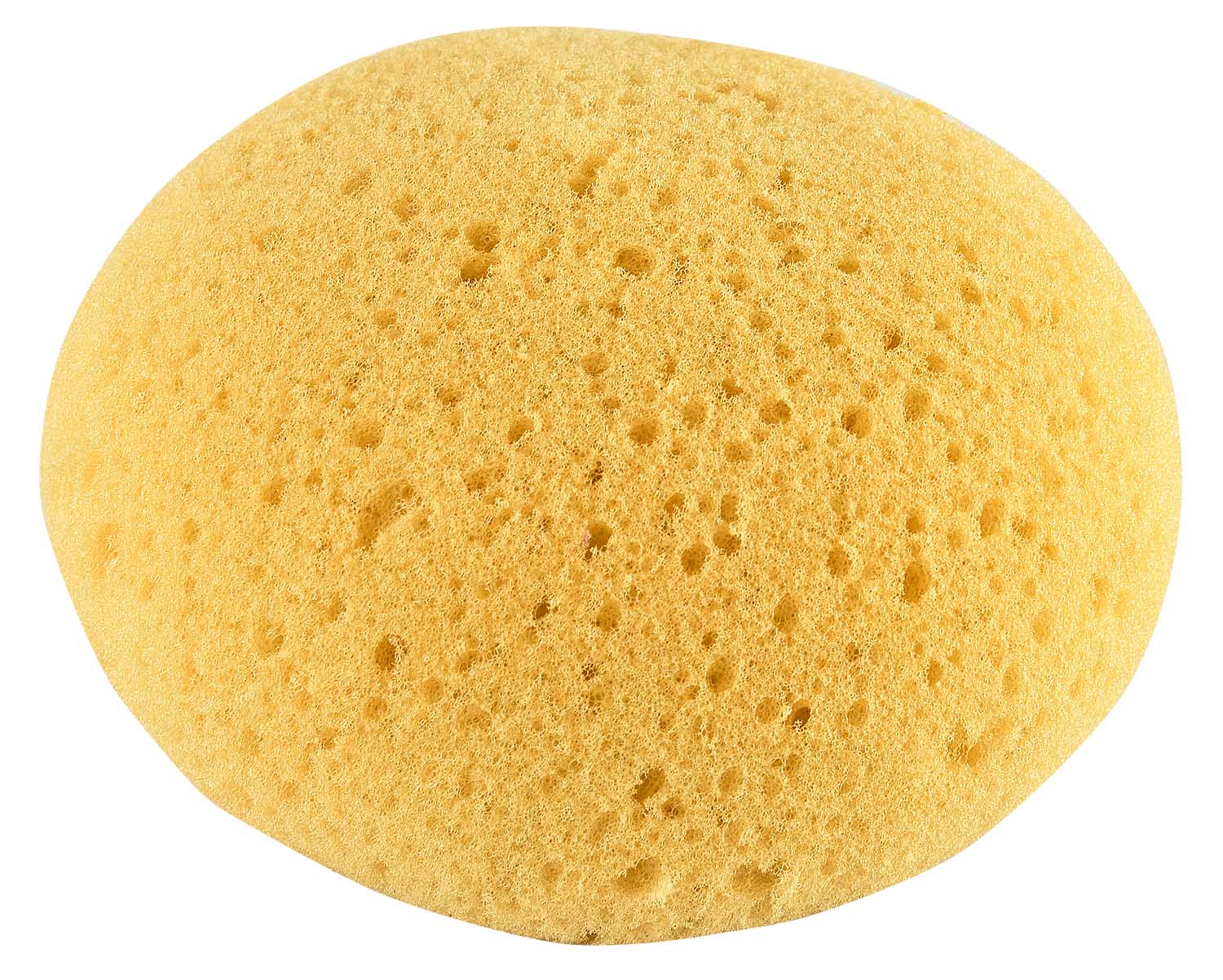 Equine Grooming & Tack Sponges – Soft, Absorbent Sponges for Horses and Leather Care - Image 4