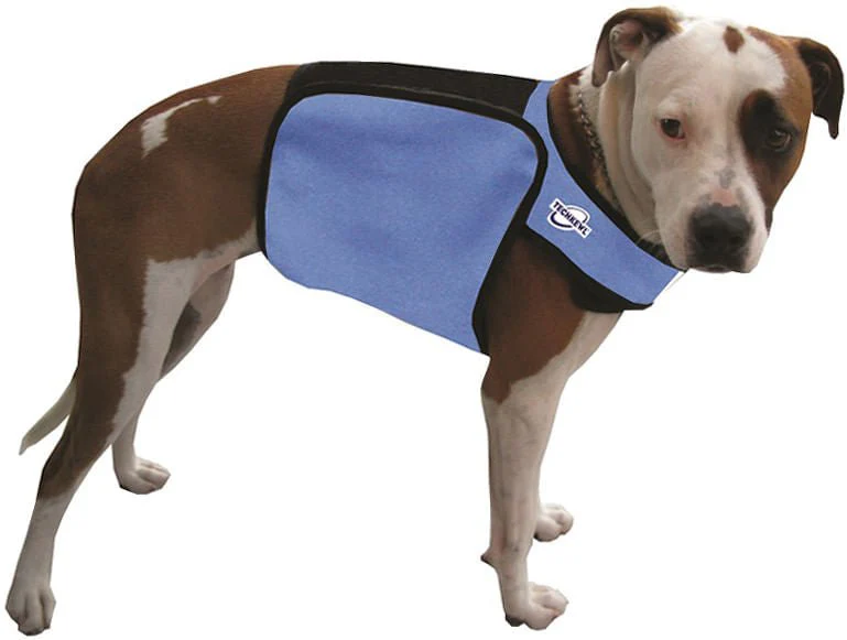 TechKewl Phase Change Cooling Dog Coat - Image 6