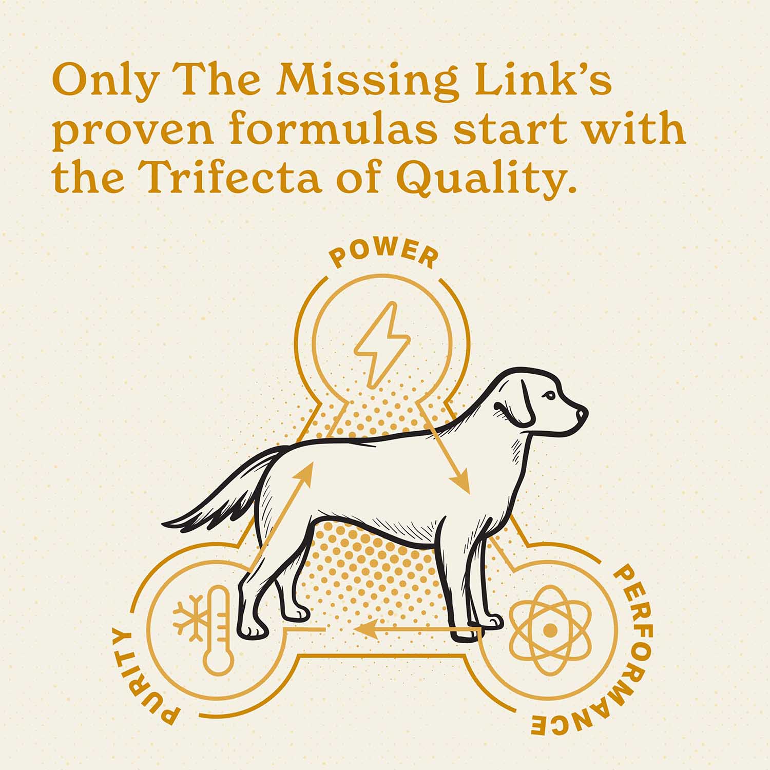 The Missing Link Ultimate Skin & Coat for Dogs - Image 5