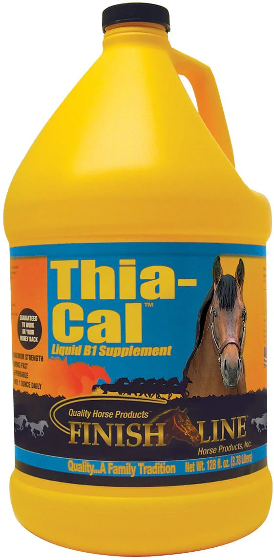 Thia-Cal Liquid B1 for Horses, Gallon - Image 4