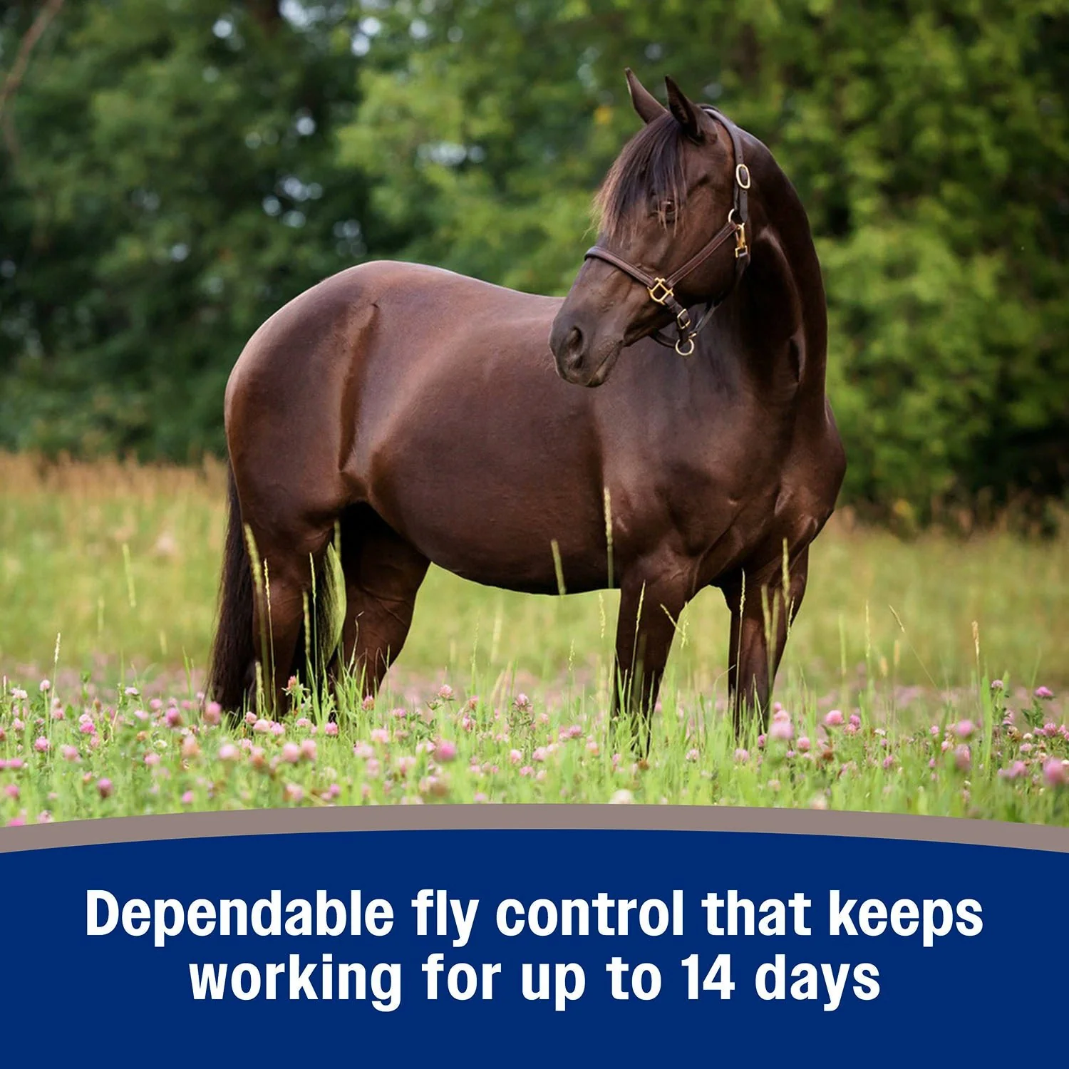 Farnam Tri-Tec 14 Fly Repellent for Horses - Image 5
