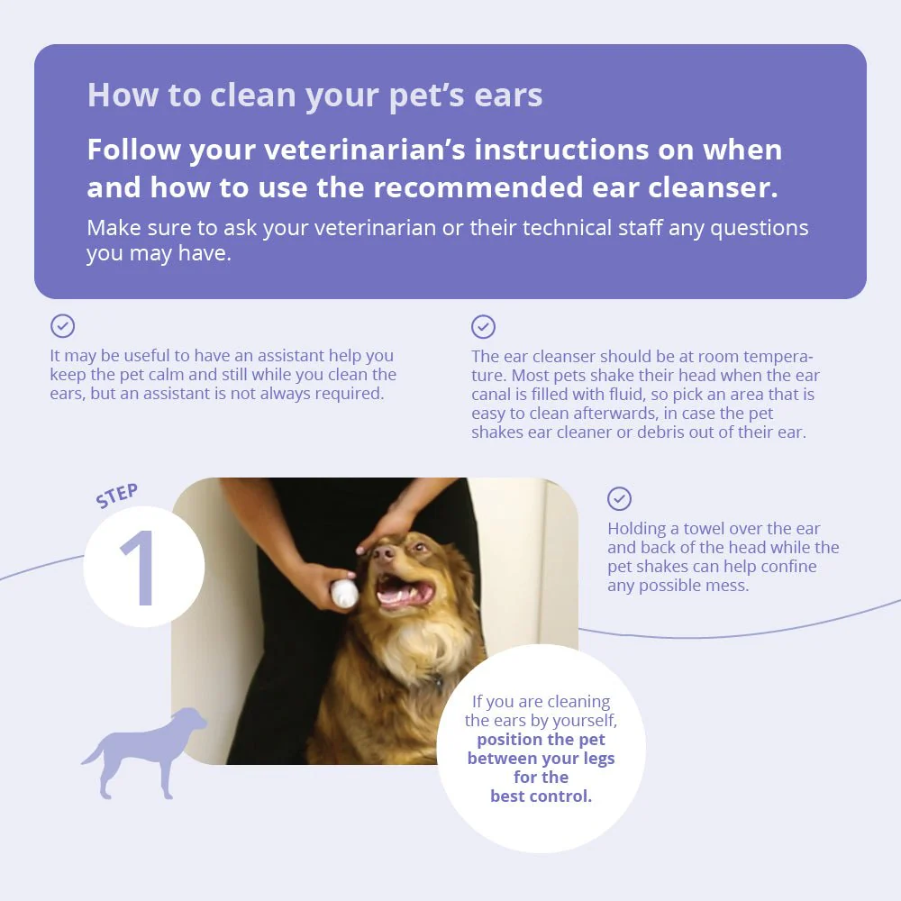 TrizChlor Ear Flush for Dogs and Cats, 4 fl oz - Image 5