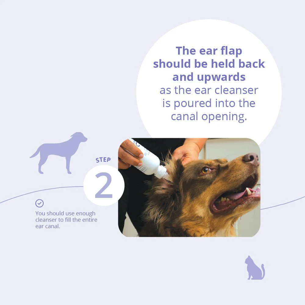 TrizChlor Ear Flush for Dogs and Cats, 4 fl oz - Image 6