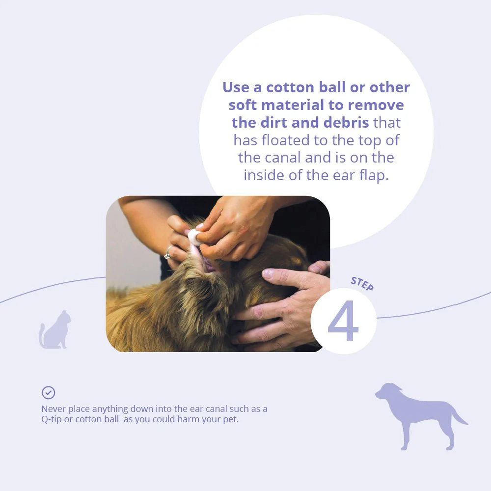 TrizChlor Ear Flush for Dogs and Cats, 4 fl oz - Image 8
