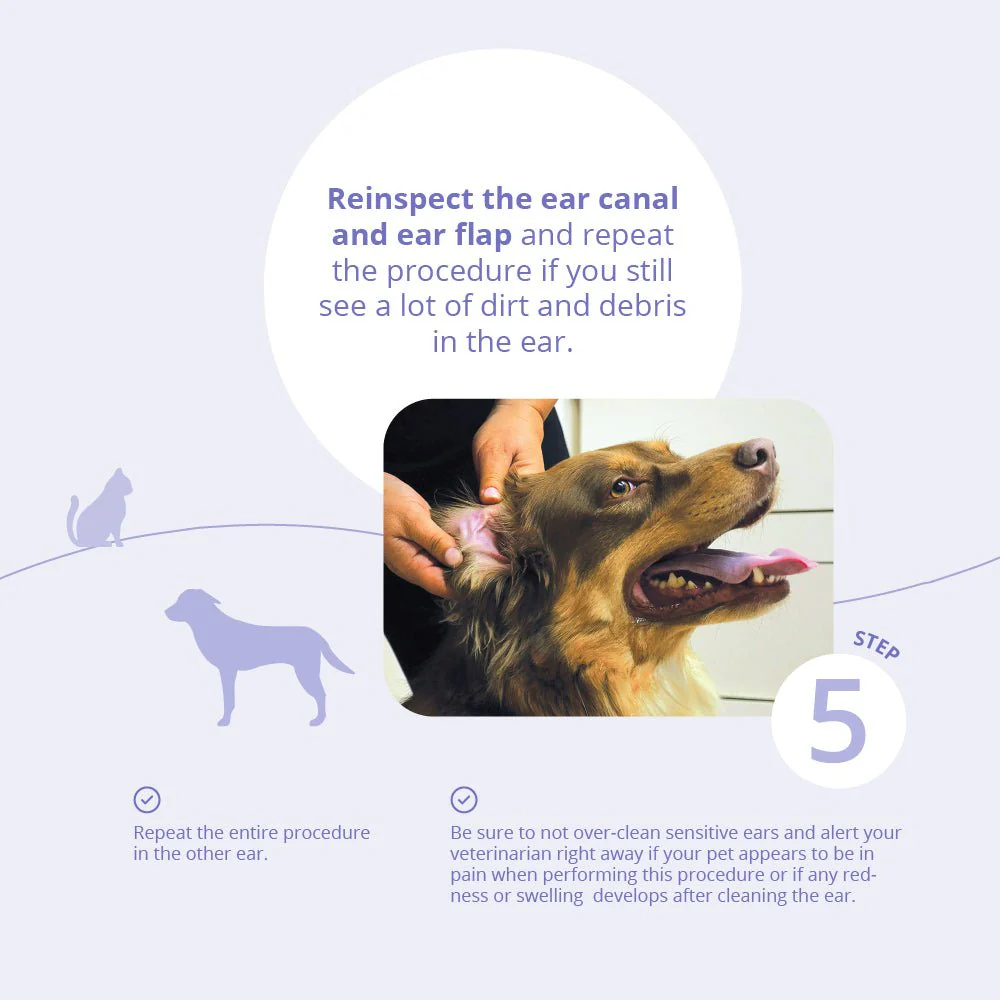 TrizULTRA+KETO Flush for Horses, Dogs & Cats - Image 9
