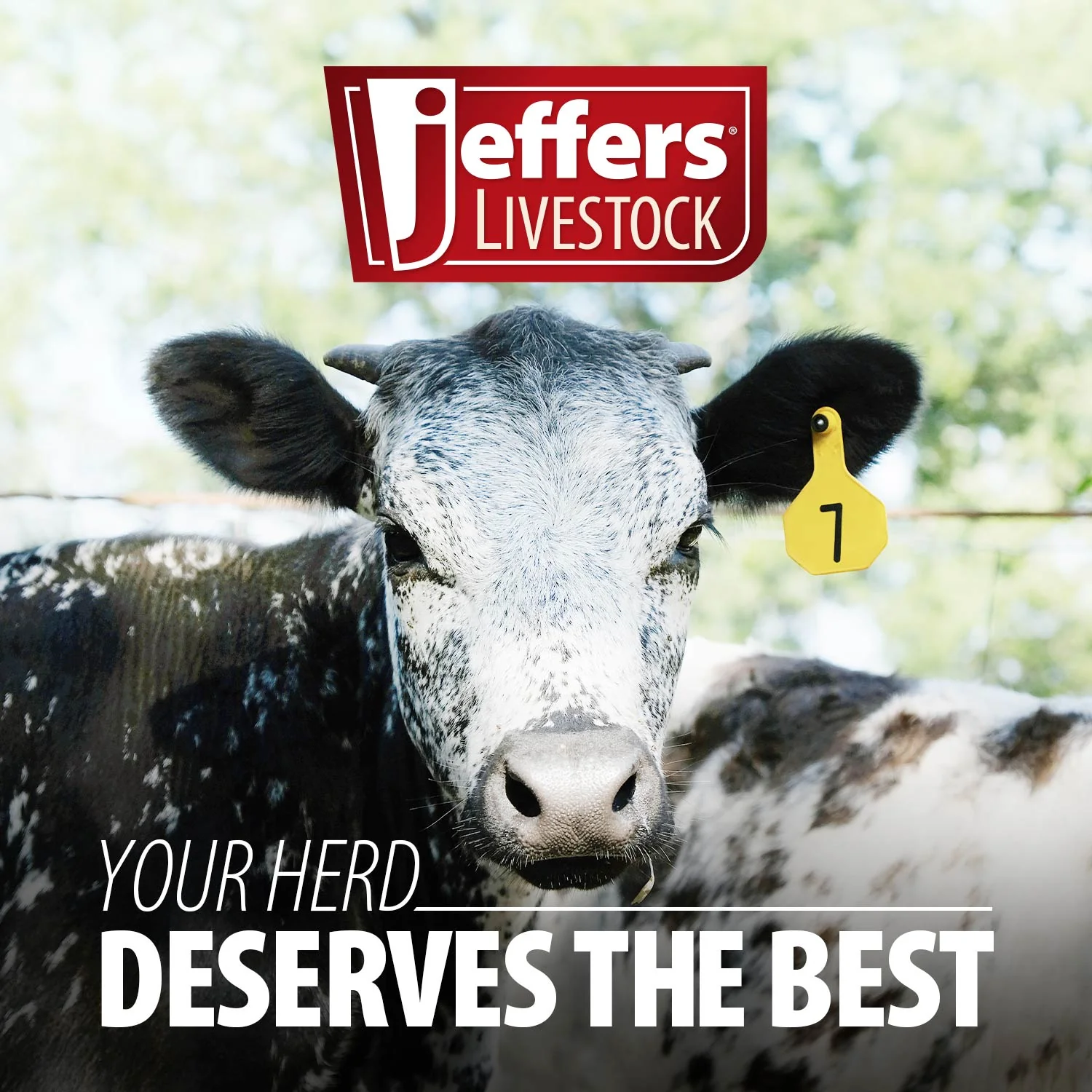 Jeffers Livestock Trocar and Cannula Veterinary Instrument - Image 6