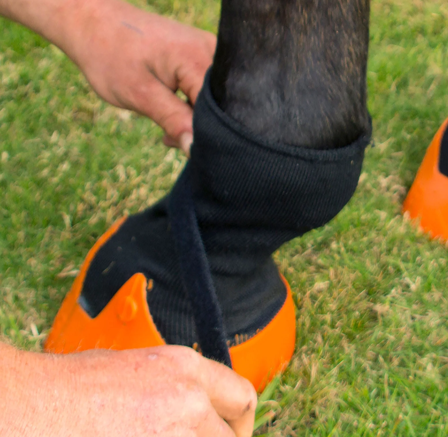 Shires Tubbease Hoof Sock - Image 12