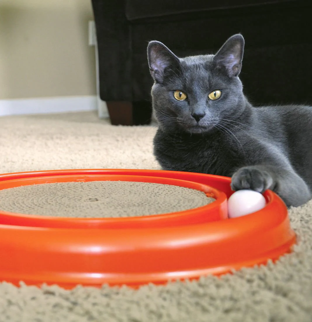 Turbo Cat Scratcher & Replacement Pads - Image 2