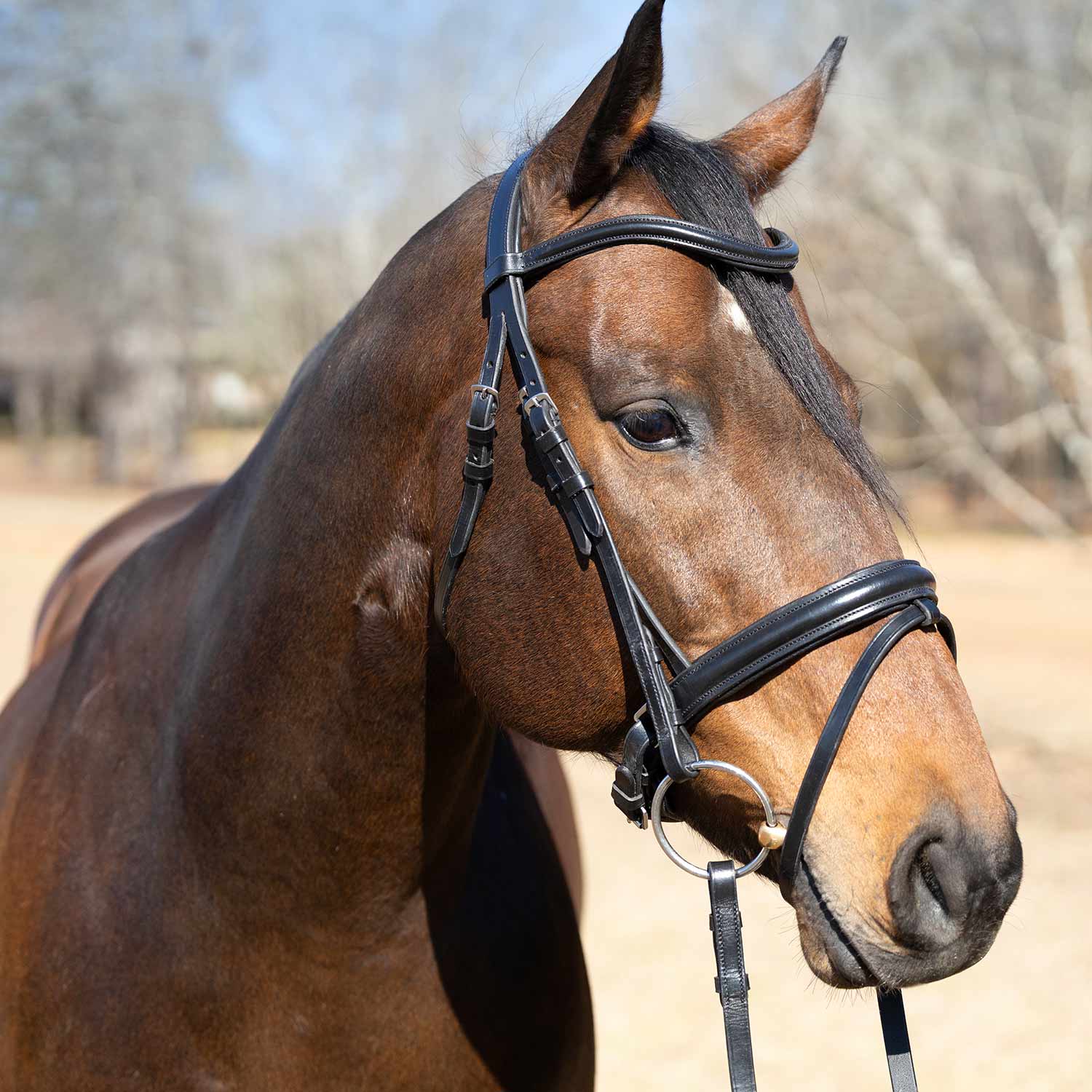 Jeffers Uniquely English "Aachen" Leather Dressage Bridle with Reins for Horses - Image 2