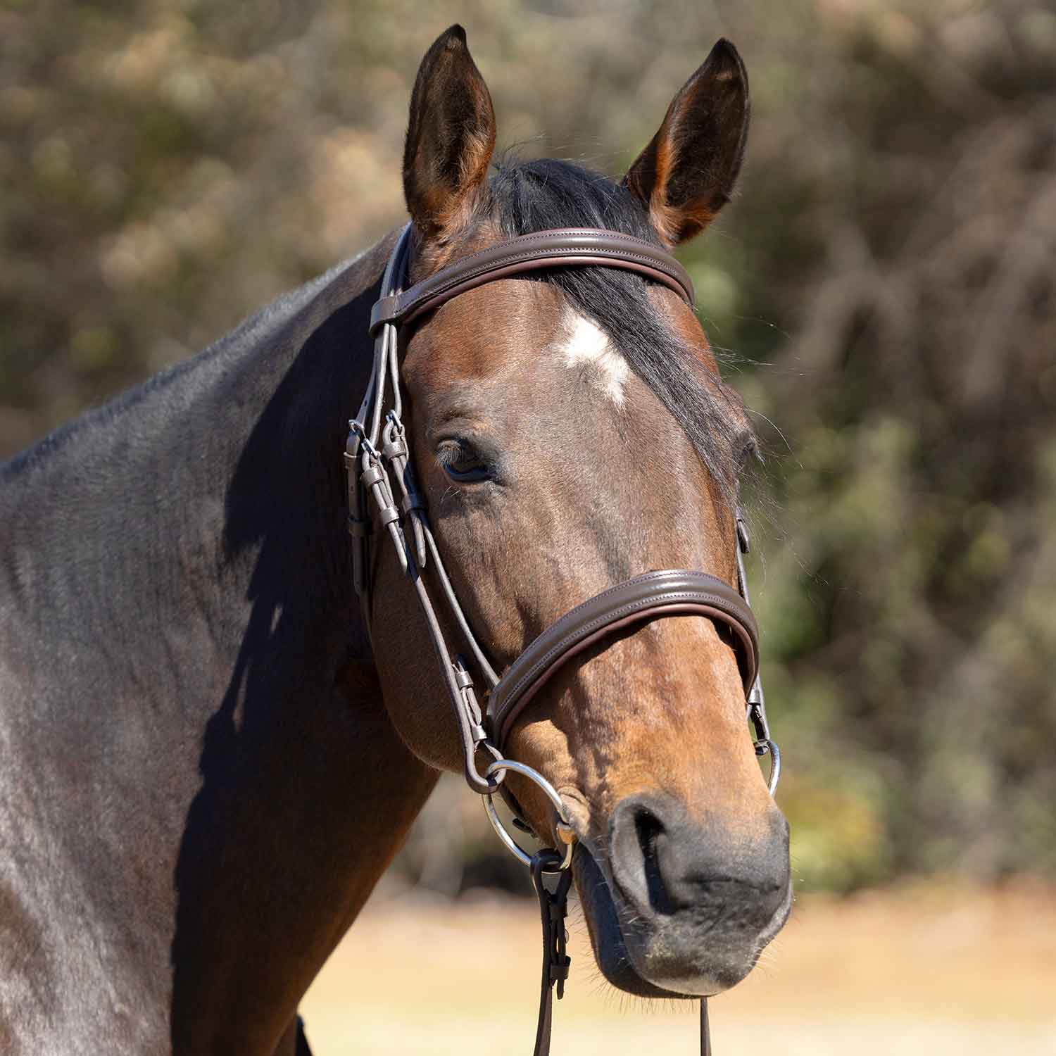 Jeffers Uniquely English "Devon" Leather Snaffle Bridle with Reins for Horses - Image 3