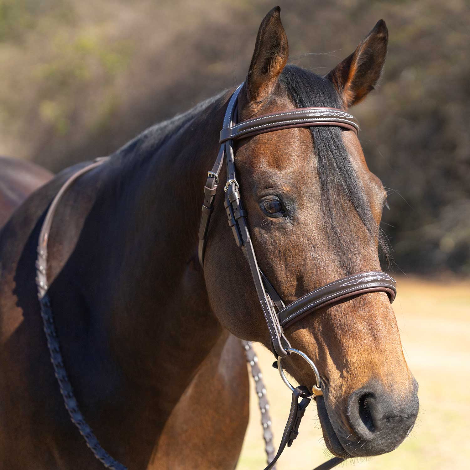Jeffers Uniquely English "Hampton" Leather Hunter Bridle for Horses - Image 5