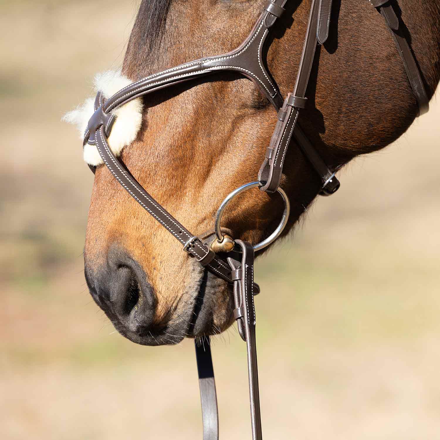 Jeffers Uniquely English Hickstead Figure-8 Bridle with Web Reins for Horses - Image 6